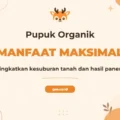 Pelatihan Pupuk Organik untuk Pertanian Berkelanjutan yang Unggul
