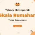 Pelatihan Teknik Hidroponik Rumahan Tanpa Greenhouse untuk Pertanian Urban Mandiri