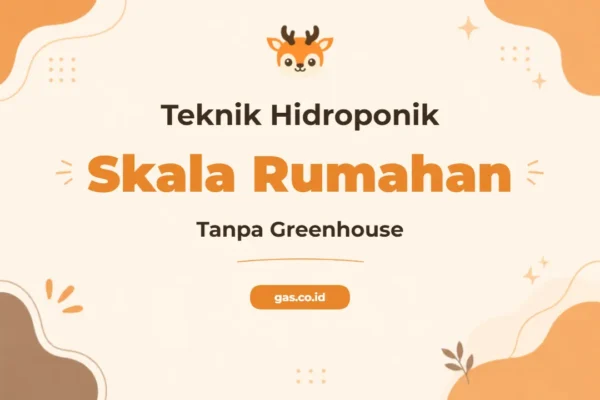 Pelatihan Teknik Hidroponik Rumahan Tanpa Greenhouse untuk Pertanian Urban Mandiri
