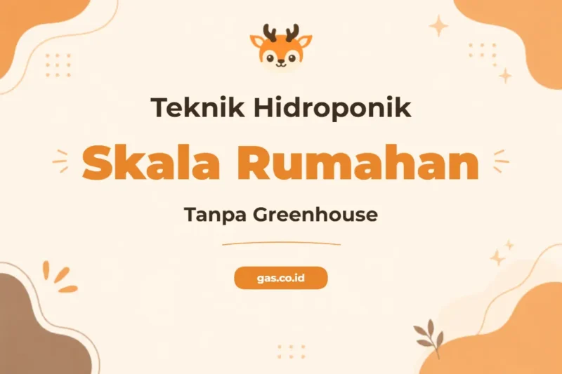 Pelatihan Teknik Hidroponik Rumahan Tanpa Greenhouse untuk Pertanian Urban Mandiri