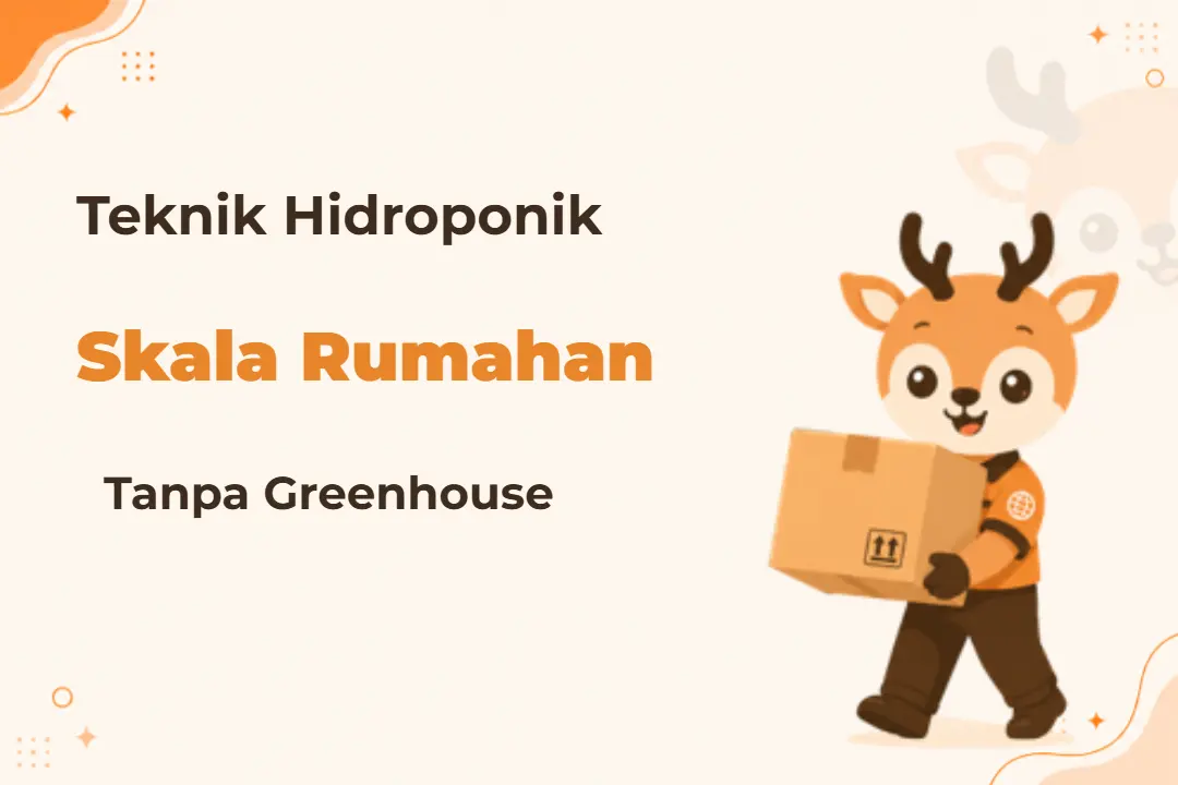 Infografis program Teknik Hidroponik Rumahan
