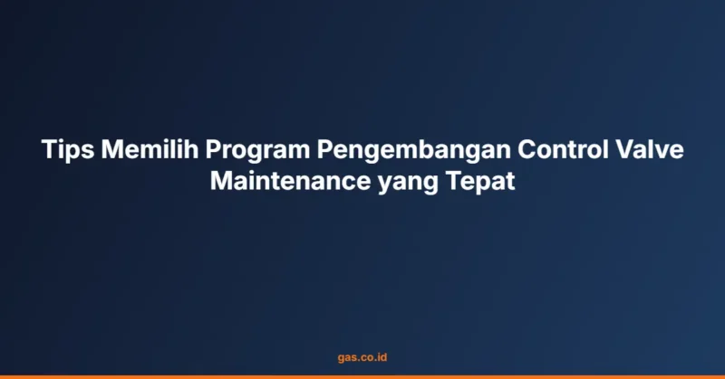 Tips Memilih Program Pengembangan Control Valve Maintenance yang Tepat