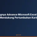 advance microsoft excel