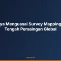 survey mapping drone