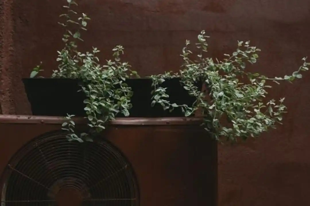 Plant Performance Calculation