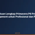 Primavera P6 project management