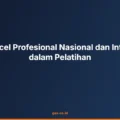 standar excel profesional