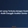 Jenjang Karir yang Terbuka dengan Keahlian Teknik Audit Canggih Auditor Senior