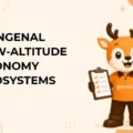 Mengenal Low-Altitude Economy Ecosystems