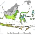 Musim Kemarau 2026 Indonesia Lebih Kering BMKG Prediksi