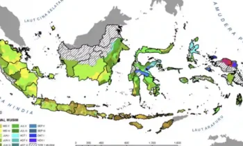 Musim Kemarau